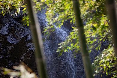 《赛博朋克2077》下周更新加入地铁系统 那空中载具是不是有望了？