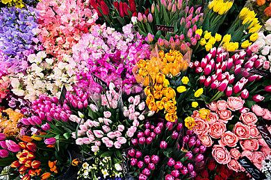 《Romp of Dump》正式版预定免费发布 4月11日demo上线